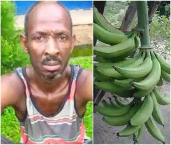 Jungle Justice: Farmer Arrested For Killing Plantain Thief In Edo (Photo)